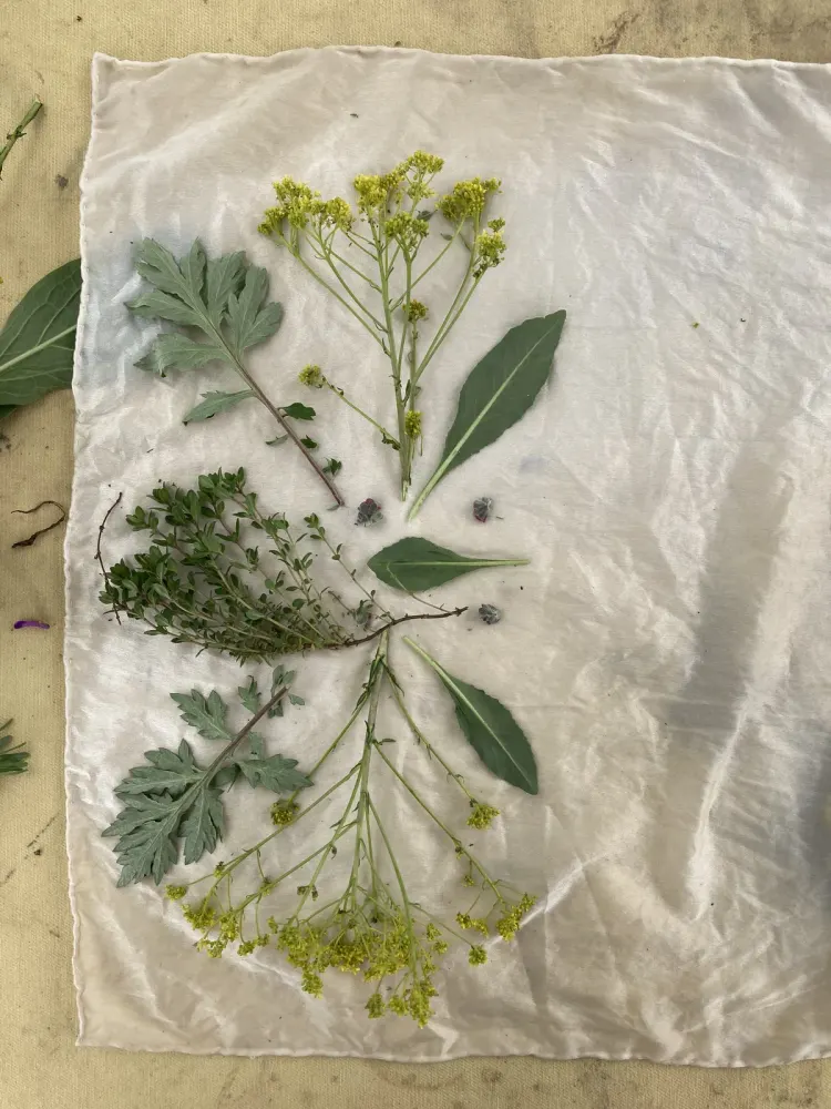 Botanicals laid up on a scarf before printing